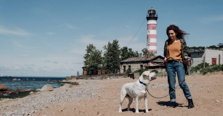 Lighthouse - A Woman Posing with her Dog on the Beach
