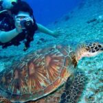 Diving - Person Takes Photo Of Tortoise